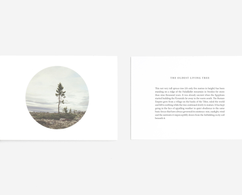 Perspective_Resize_03