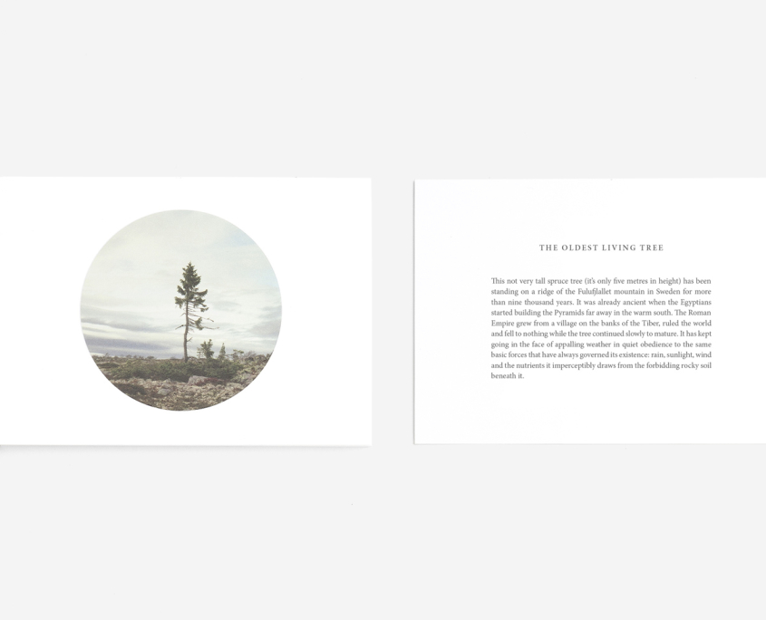 Perspective_Resize_03